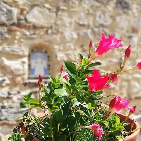 Nel Chianti Lungo La Francigena *