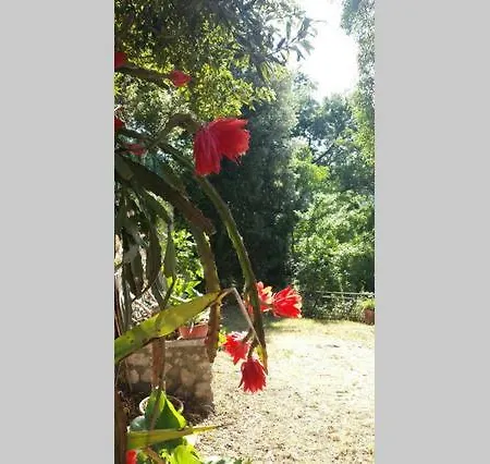 Nel Chianti Lungo La Francigena Apartamento