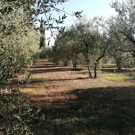 Apartamento Nel Chianti Lungo La Francigena Colle Val D'Elsa
