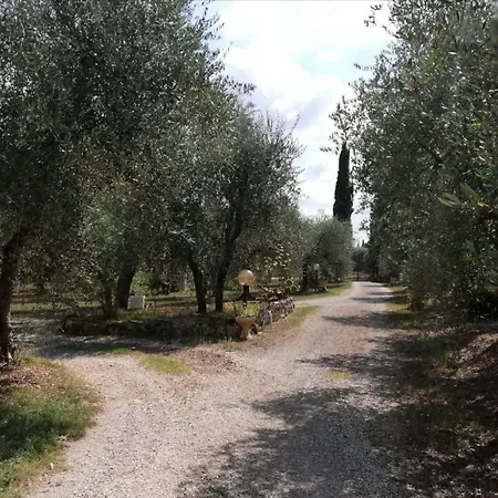 Nel Chianti Lungo La Francigena Colle Val D'Elsa